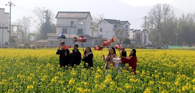 去仙源，把春天揉进金色花海