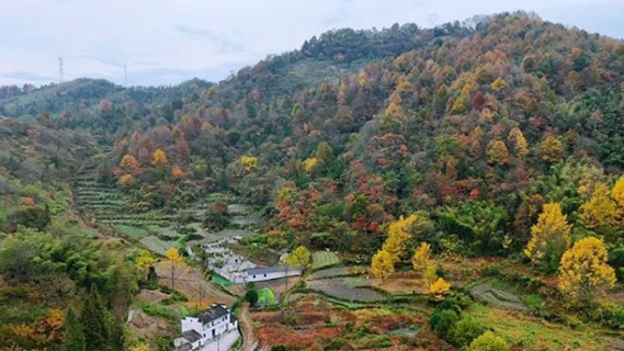 “调色盘”里的长罗村：山野间的斑斓诗意